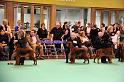 Crufts2010 1099